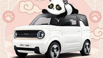 吉利熊猫汽车模型_吉利熊猫汽车模型开箱